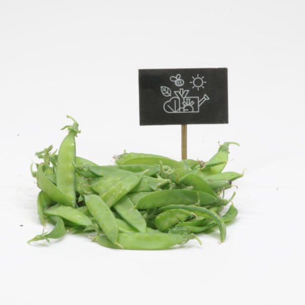 Pois mangetout