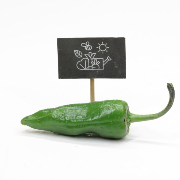 Piment vert