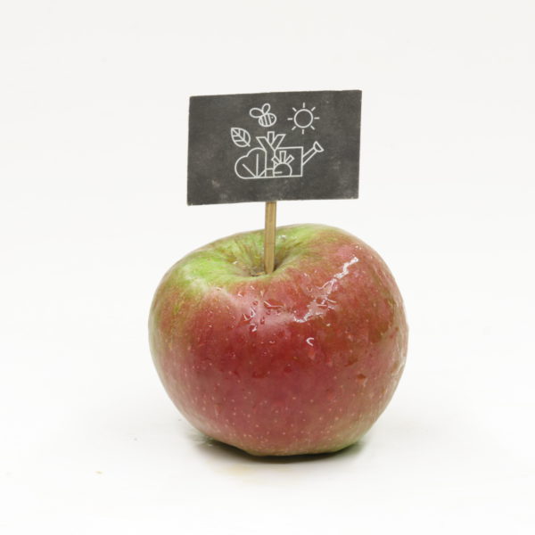Pommes Reinette Hernaut
