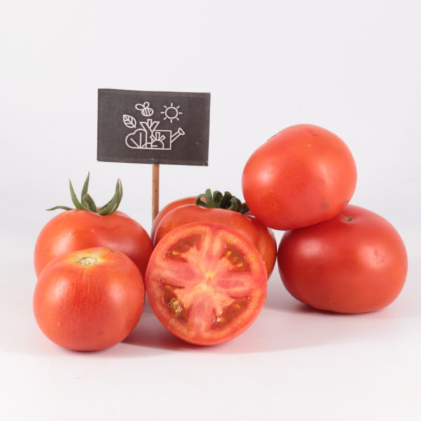 Tomates rouges à chair tendre