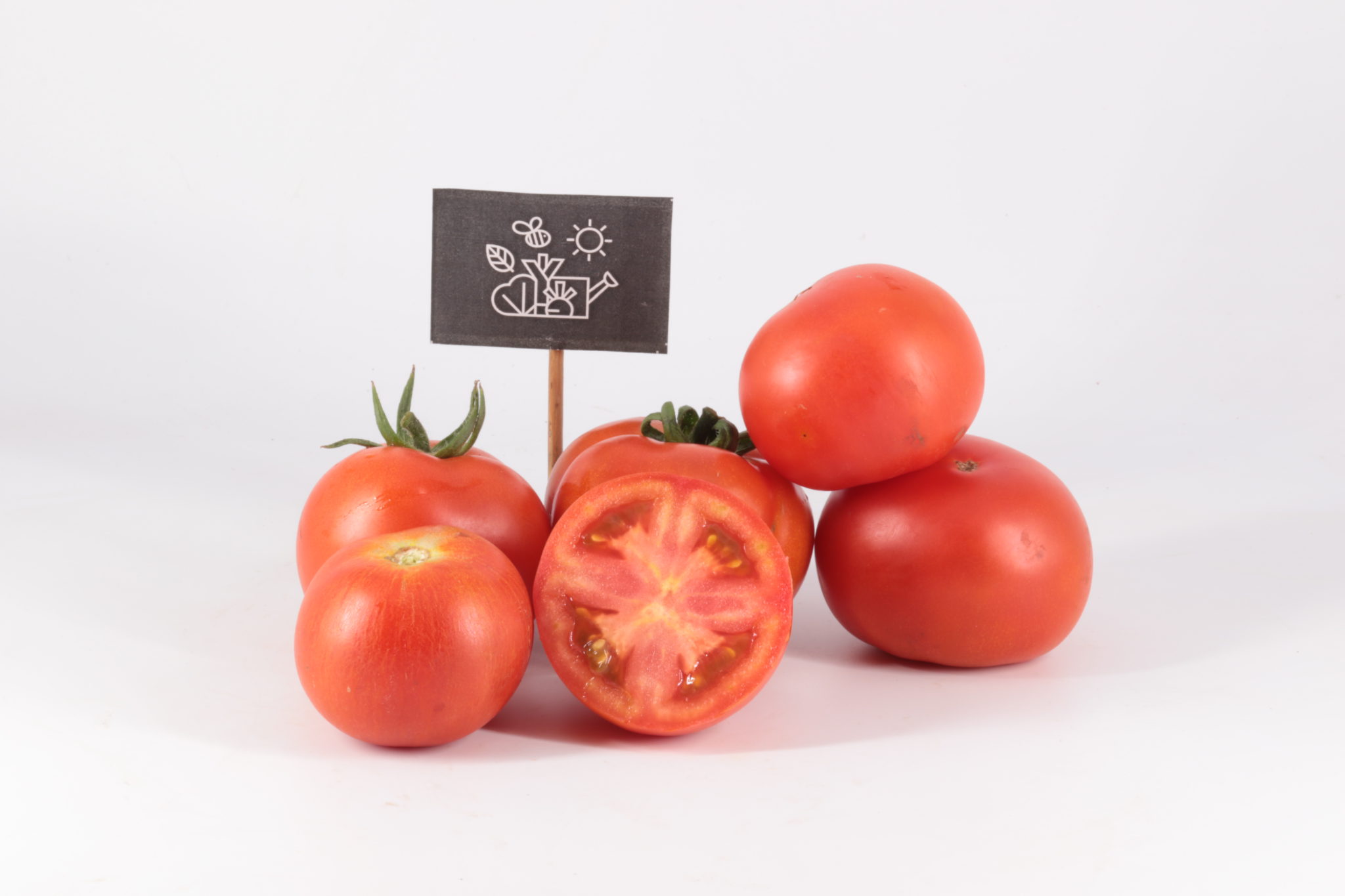 Tomates pour coulis