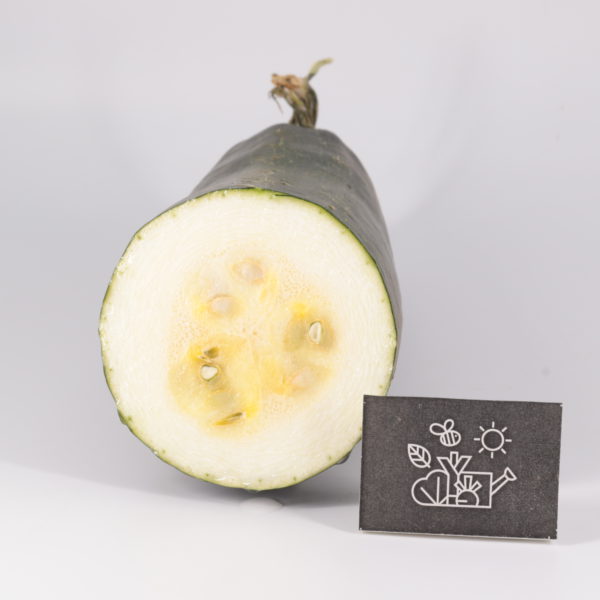 Courgette soupe