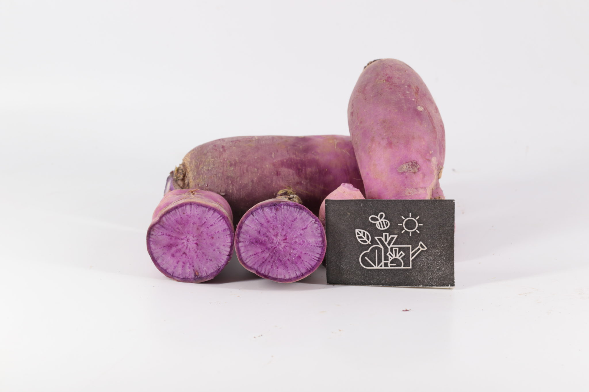 Graines De Radis Daikon Violet - Légume Asiatique Japonais - Paquet De 100 Graines Pour Jardin