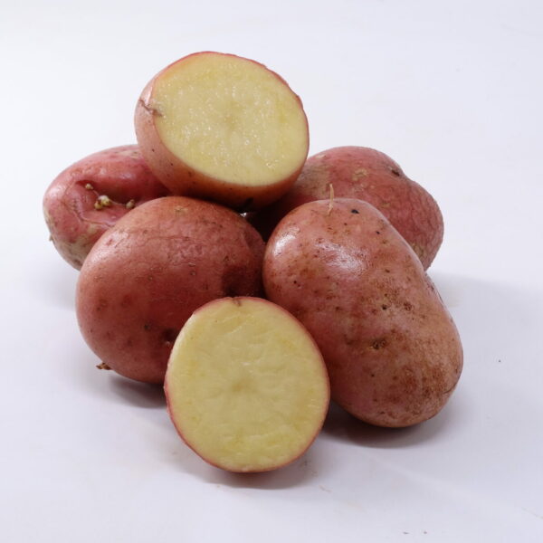 Pommes de terre chair farineuse Désirée