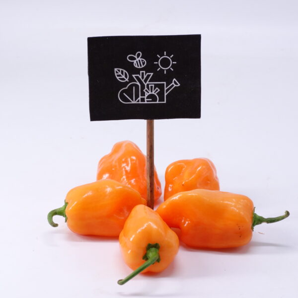 Piment Habanero