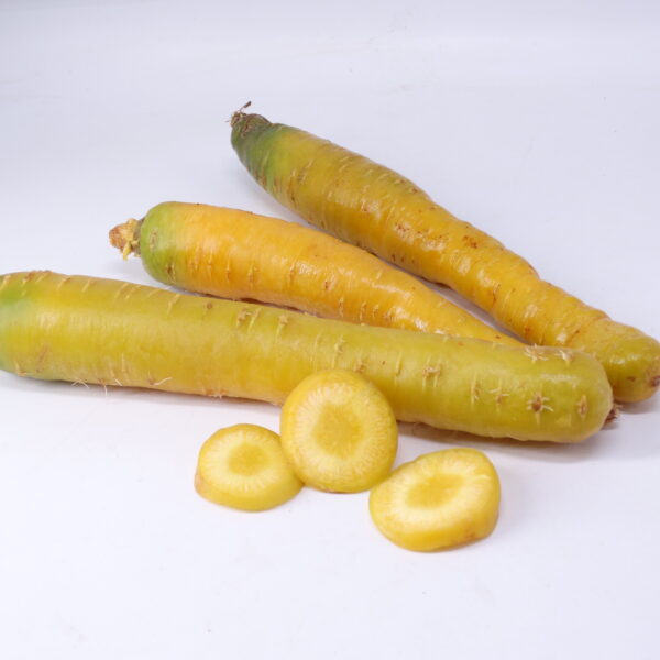 Carottes jaunes