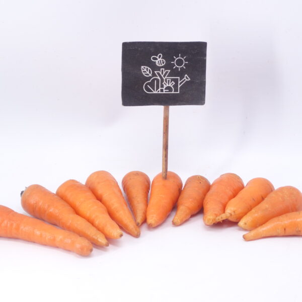 Minis carottes de Chantenay