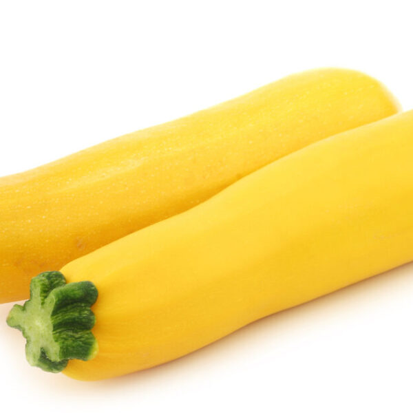 Courgette jaune primeur