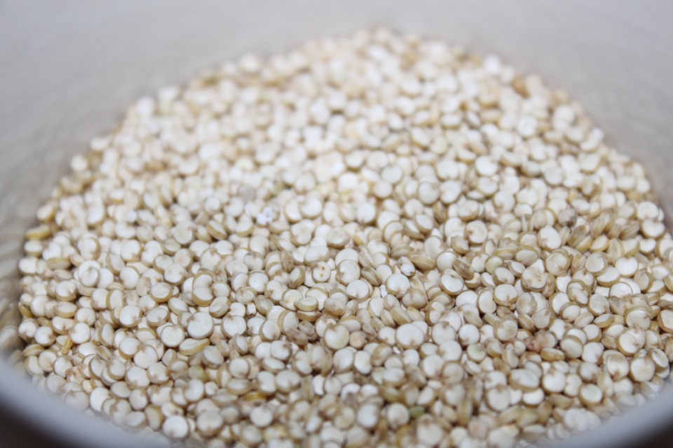 Quinoa Bio  Graines de Curieux